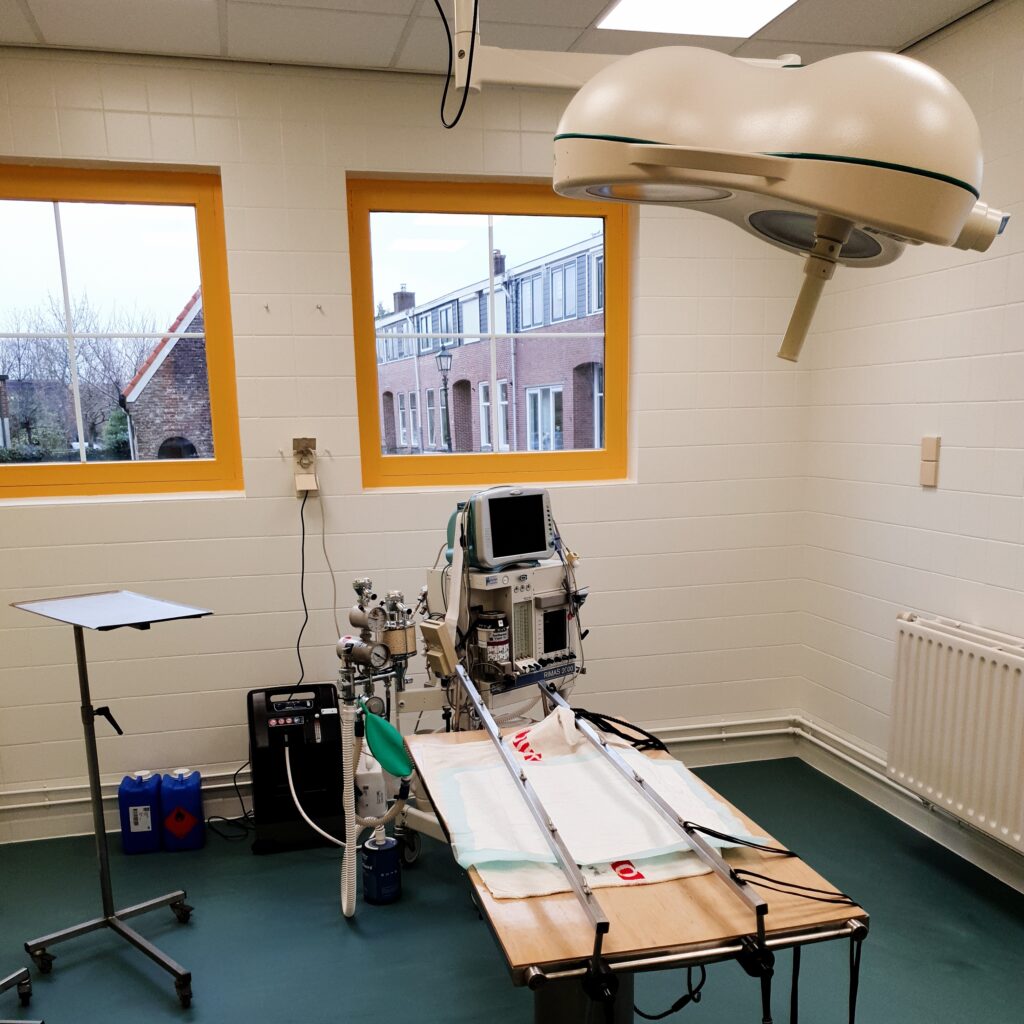 Foto van operatiekamer van Dierenkliniek Kahu