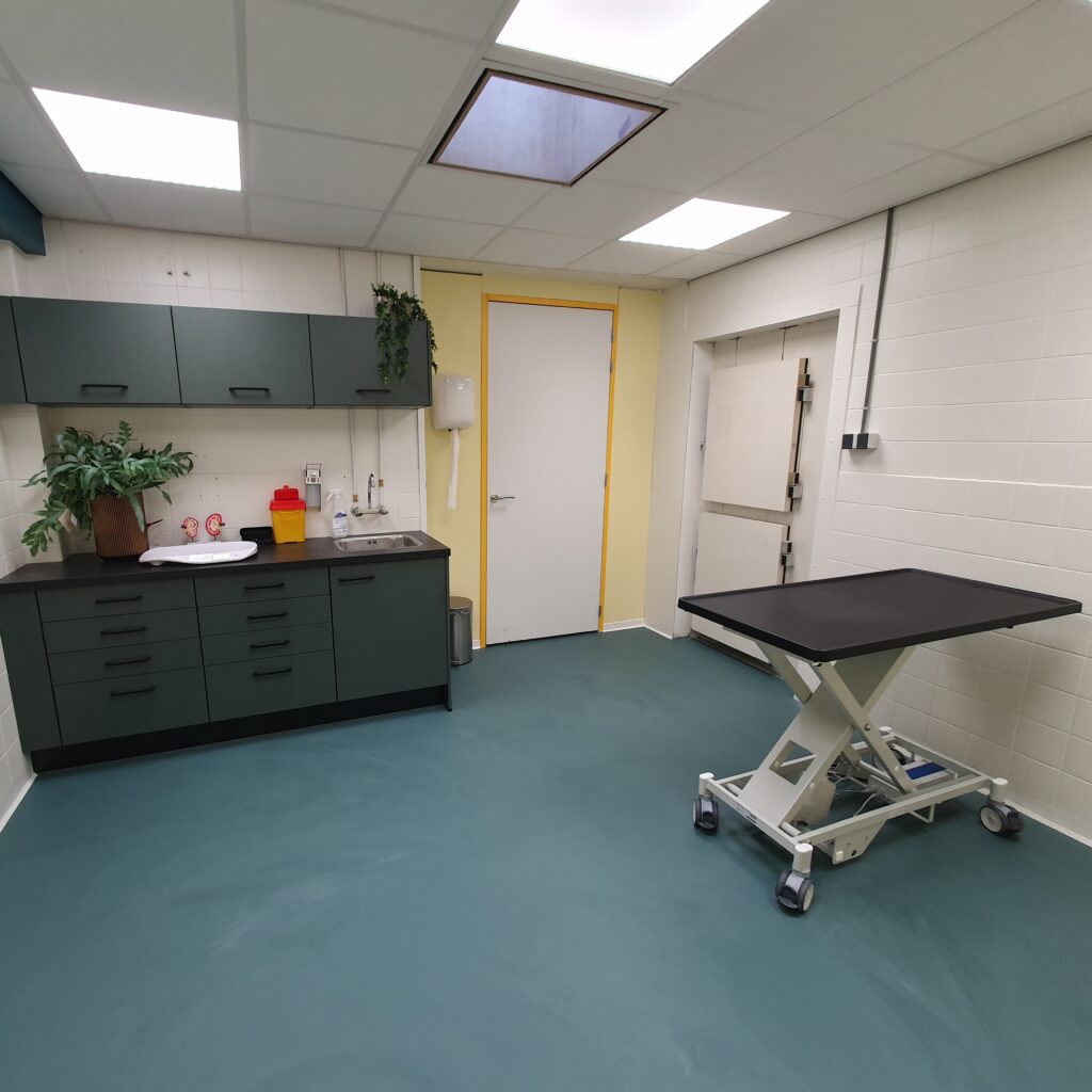 Foto van katten behandelkamer van Dierenkliniek Kahu